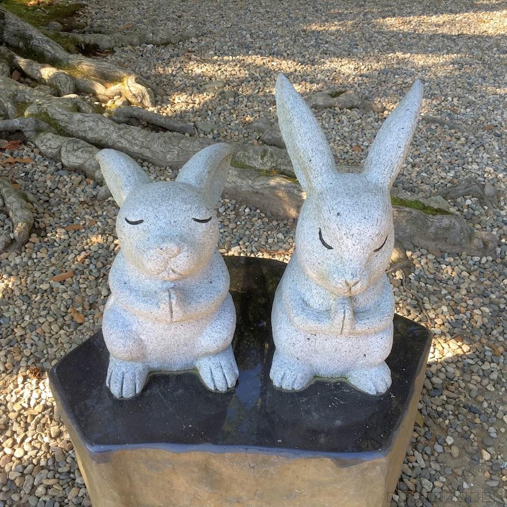 島根県観光のお勧め！出雲大社