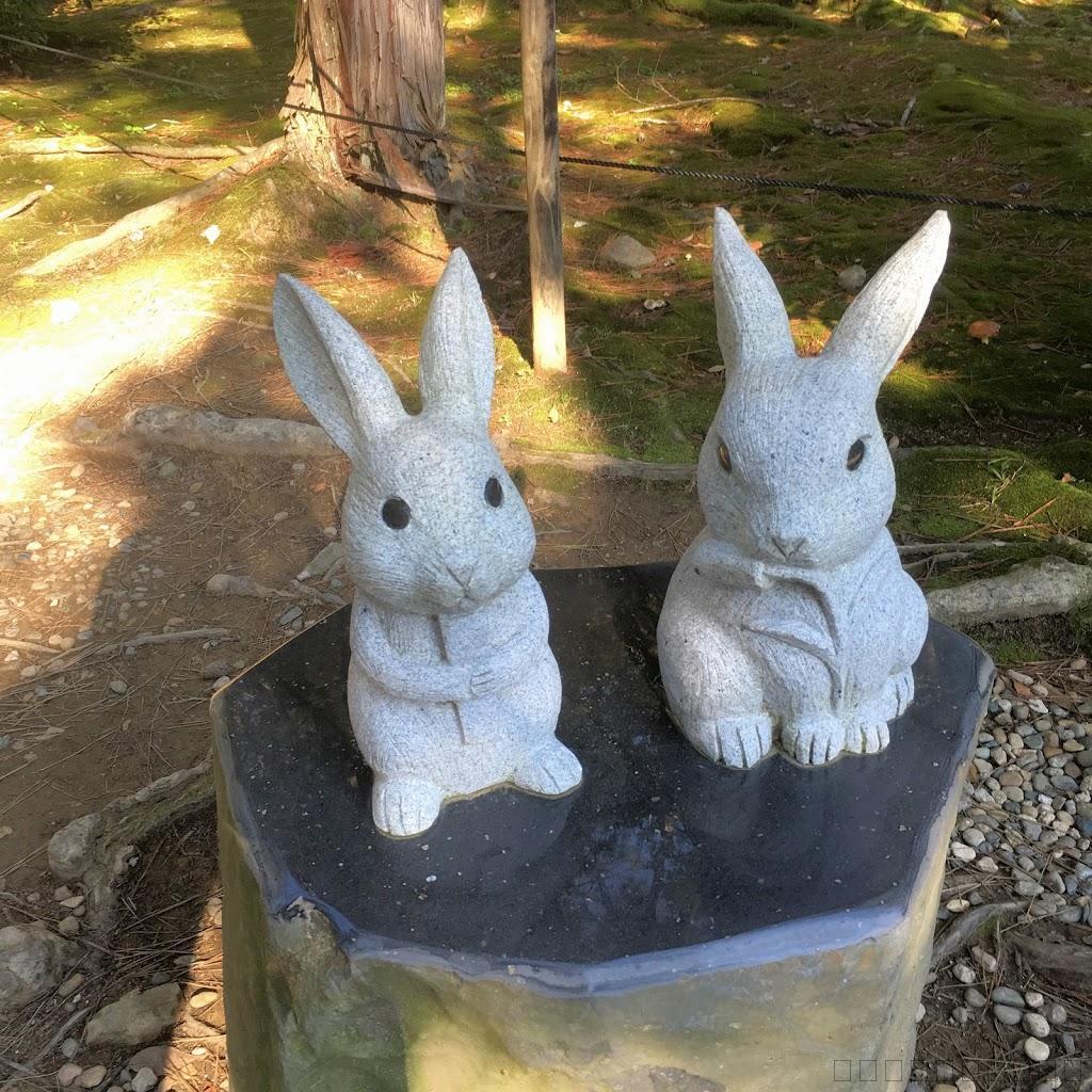 島根県観光のお勧め！出雲大社