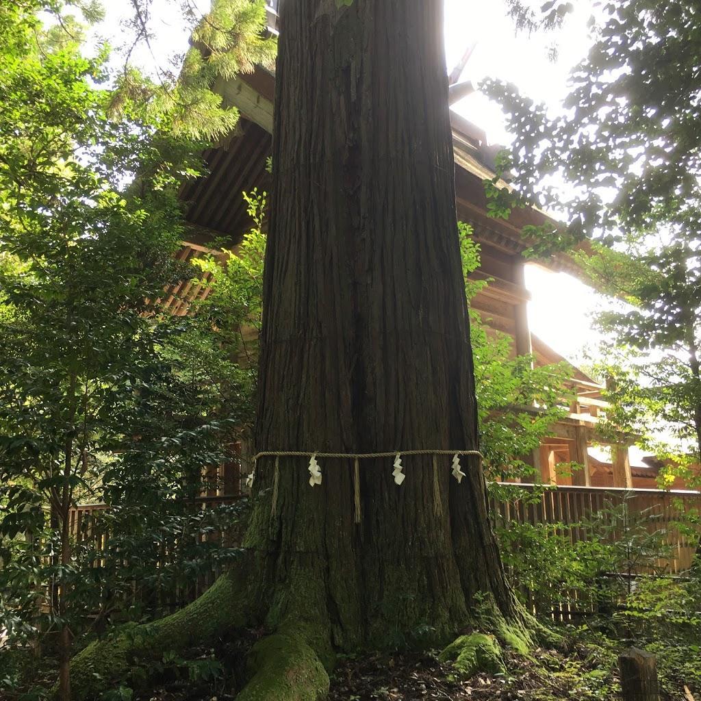 島根県の穴場スポット！須佐神社