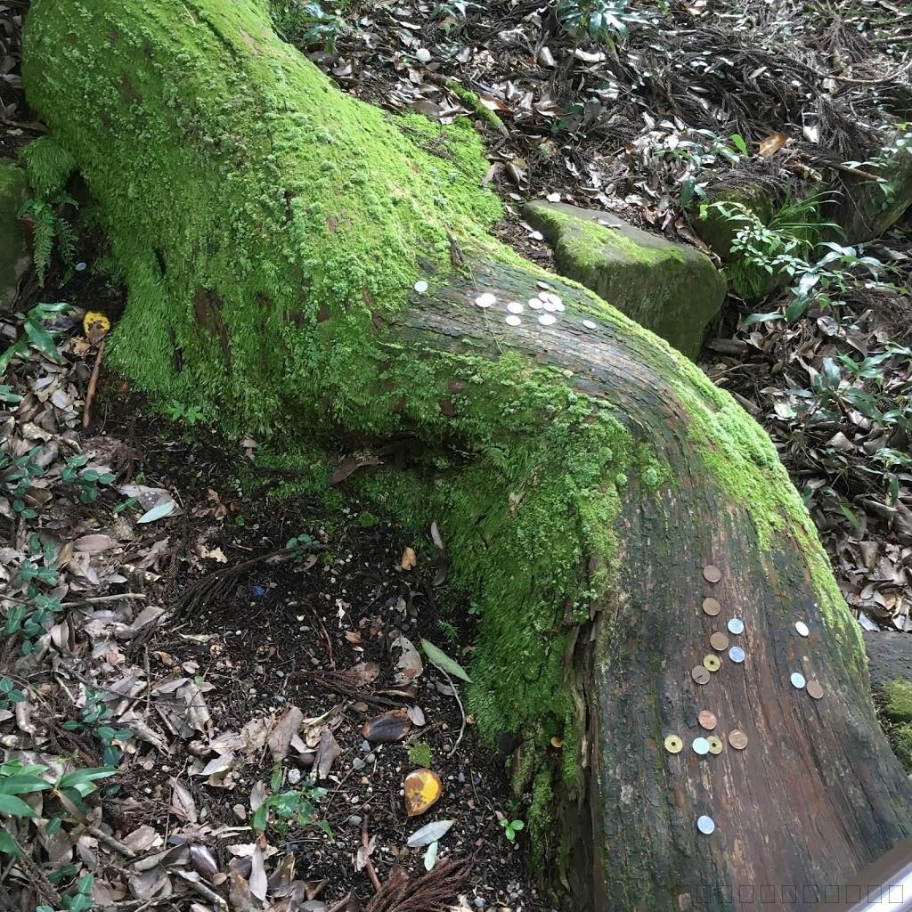 島根県の穴場スポット！須佐神社