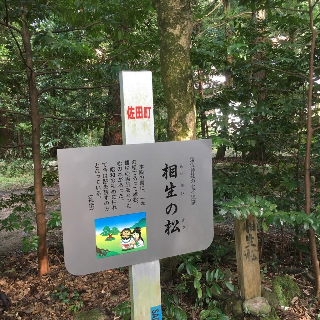 島根県の穴場スポット！須佐神社