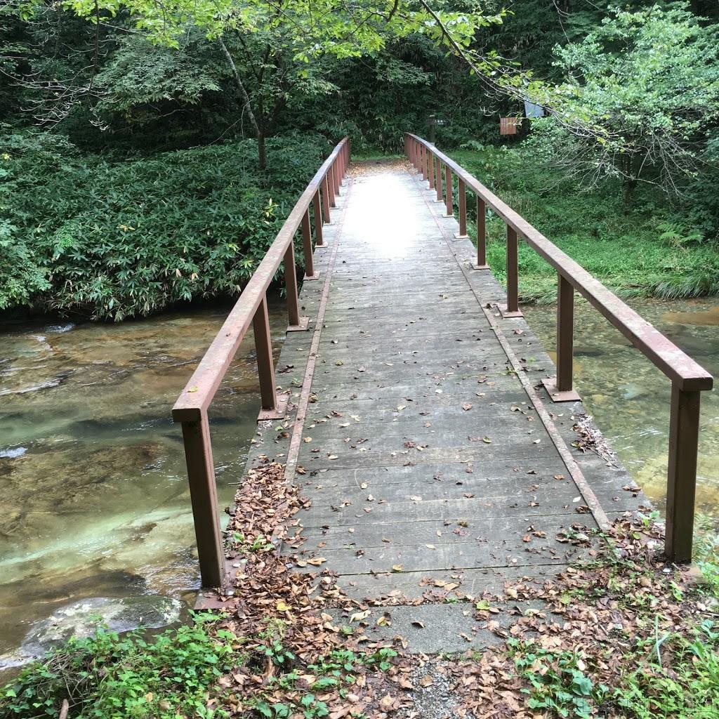 島根県の穴場スポット！八重滝