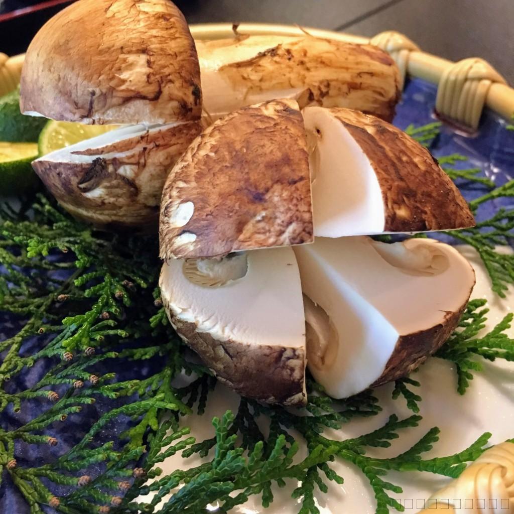 長野県上田市の松茸小屋「二幸園」