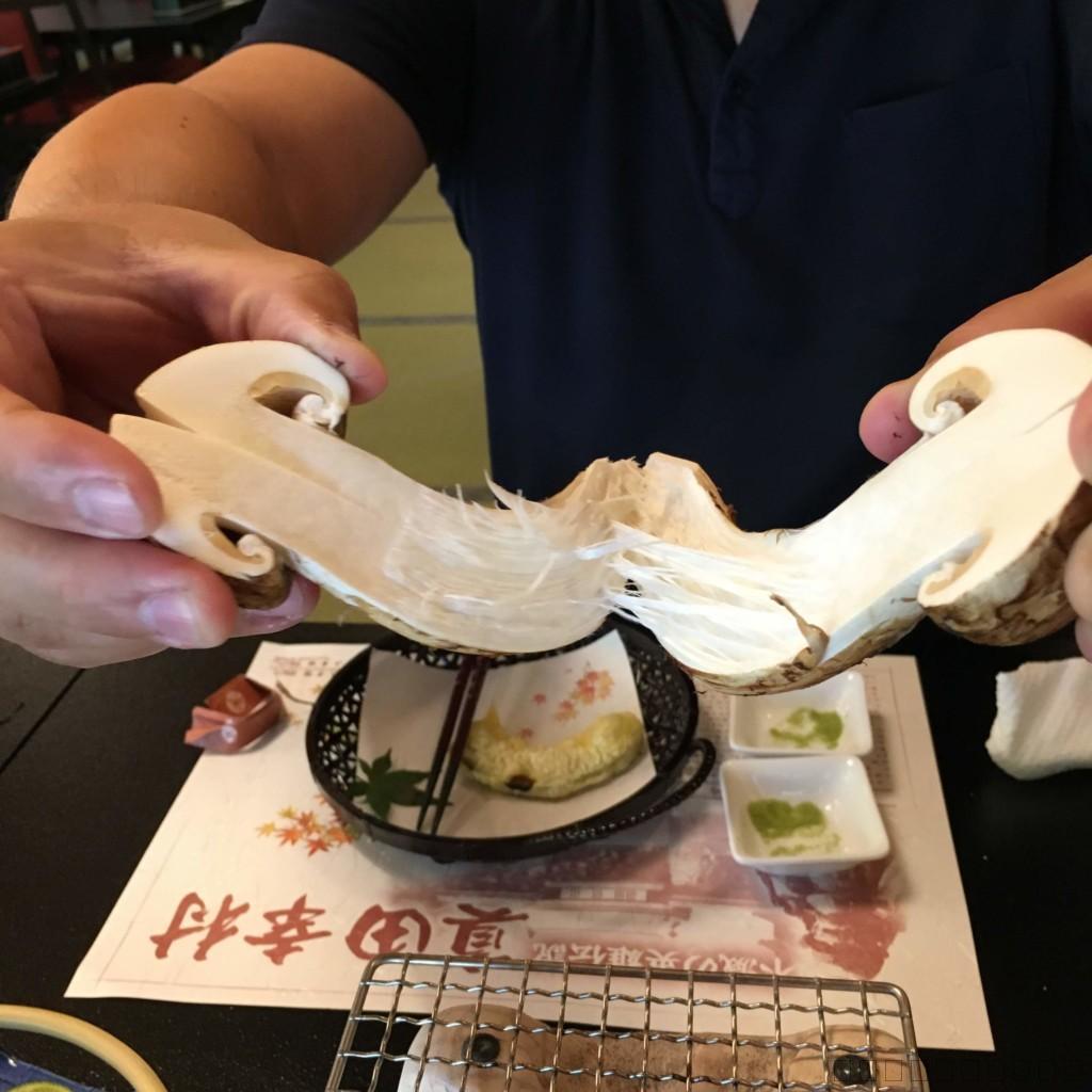 長野県上田市の松茸小屋「二幸園」