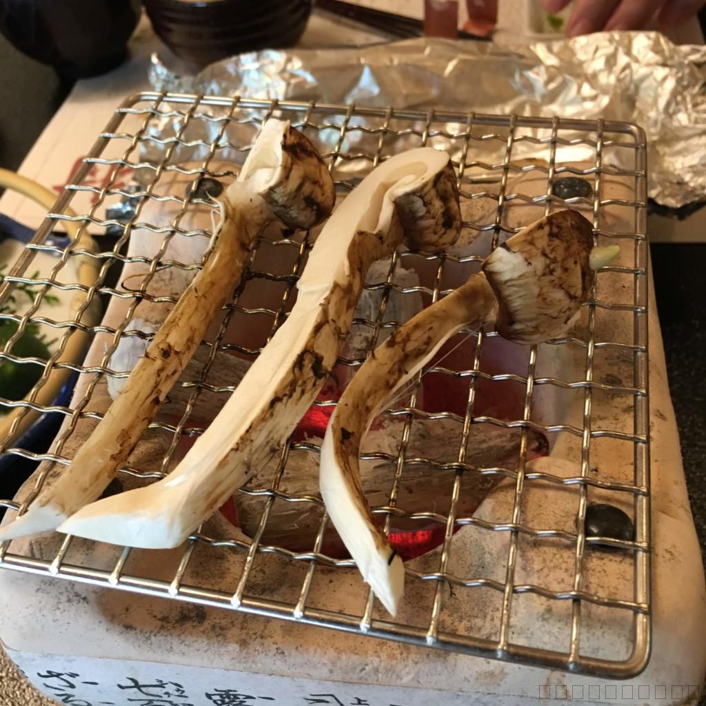 長野県上田市の松茸小屋「二幸園」