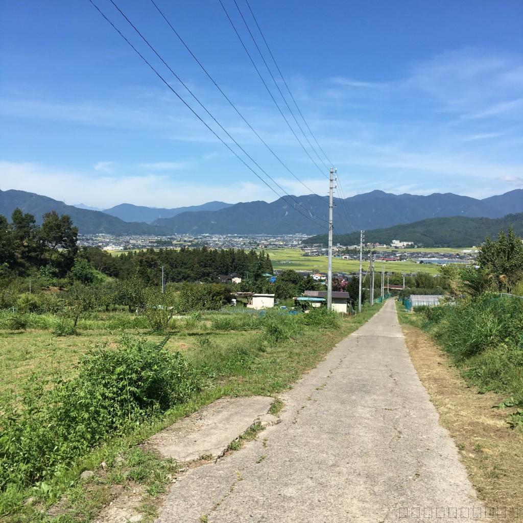 長野県上田市の松茸小屋「二幸園」