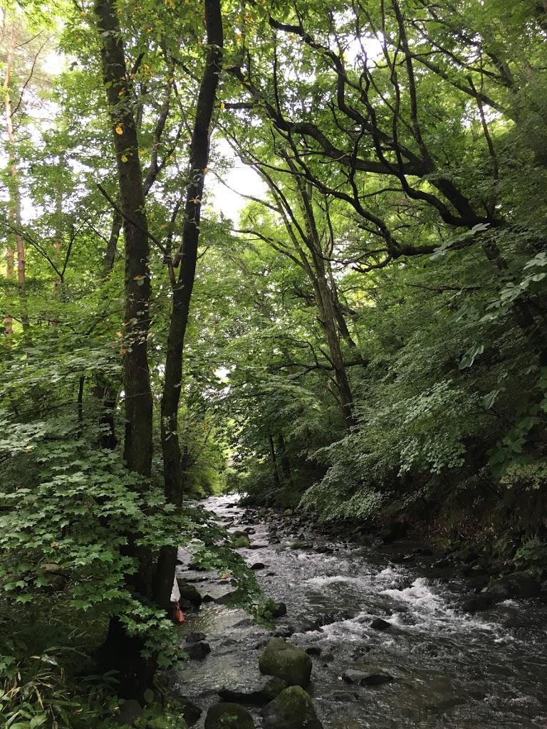 軽井沢の星野リゾート