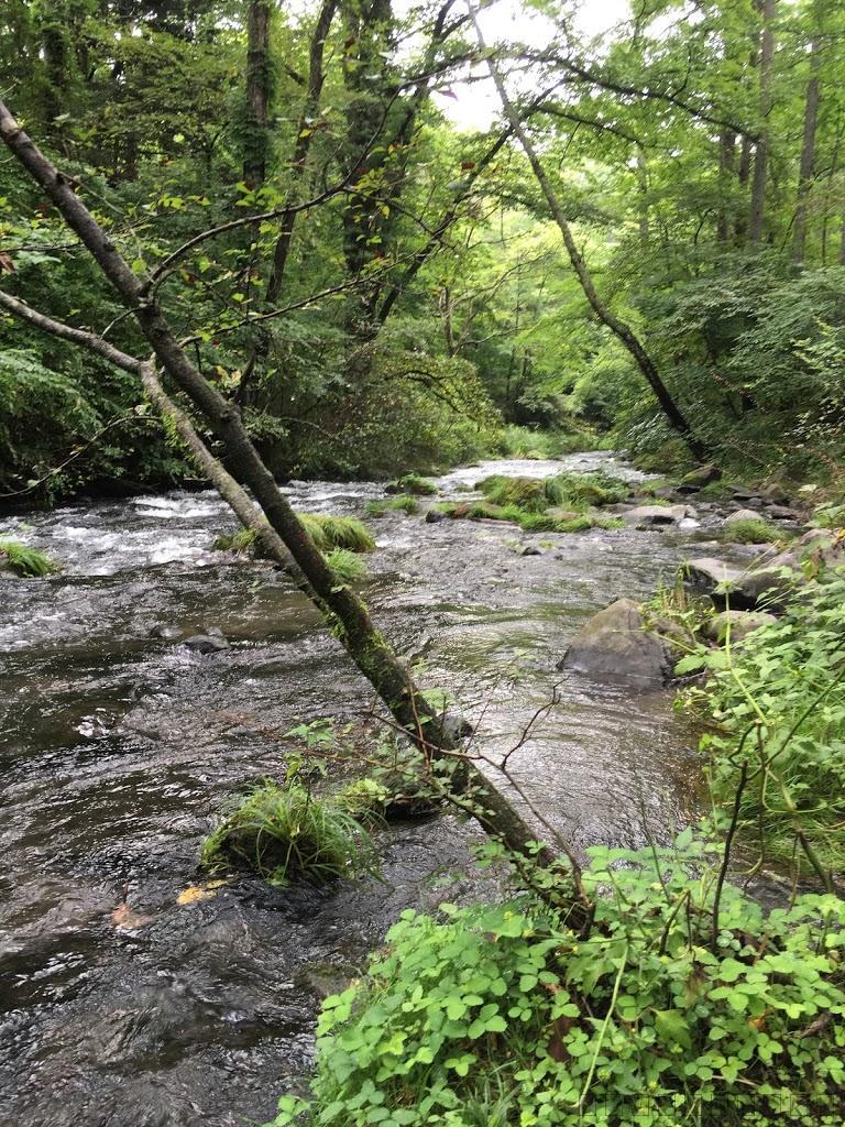 軽井沢の星野リゾート