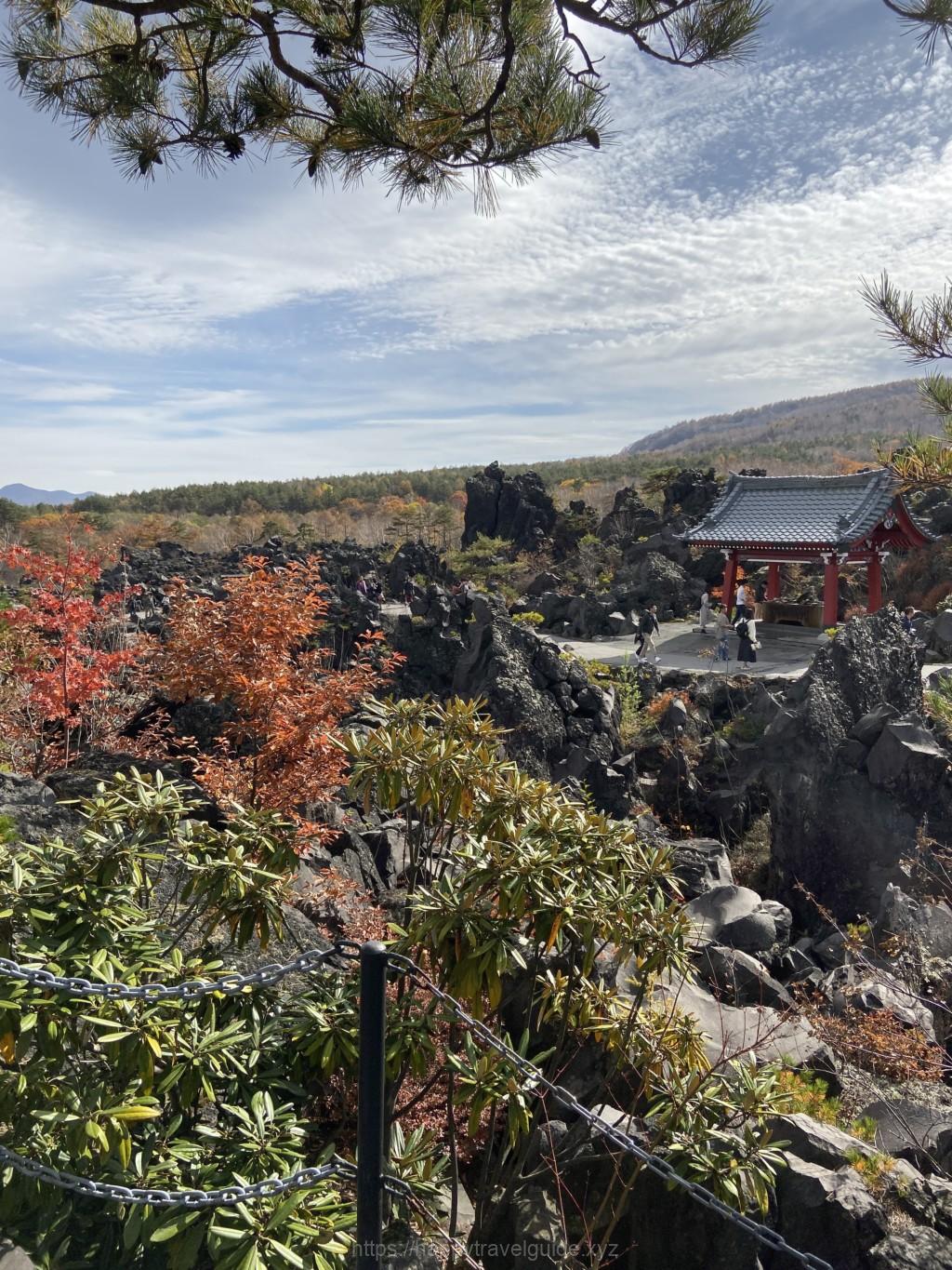鬼押し出し園 植物