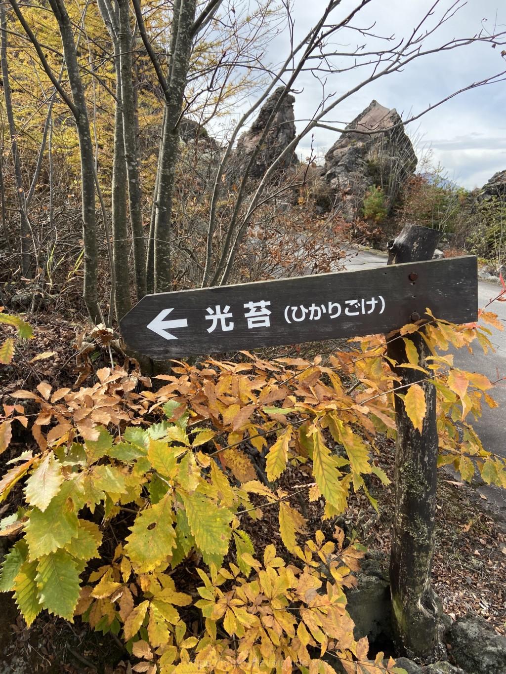 鬼押し出し園 ヒカリゴケ