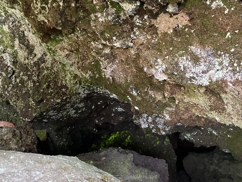 鬼押し出し園 ヒカリゴケ