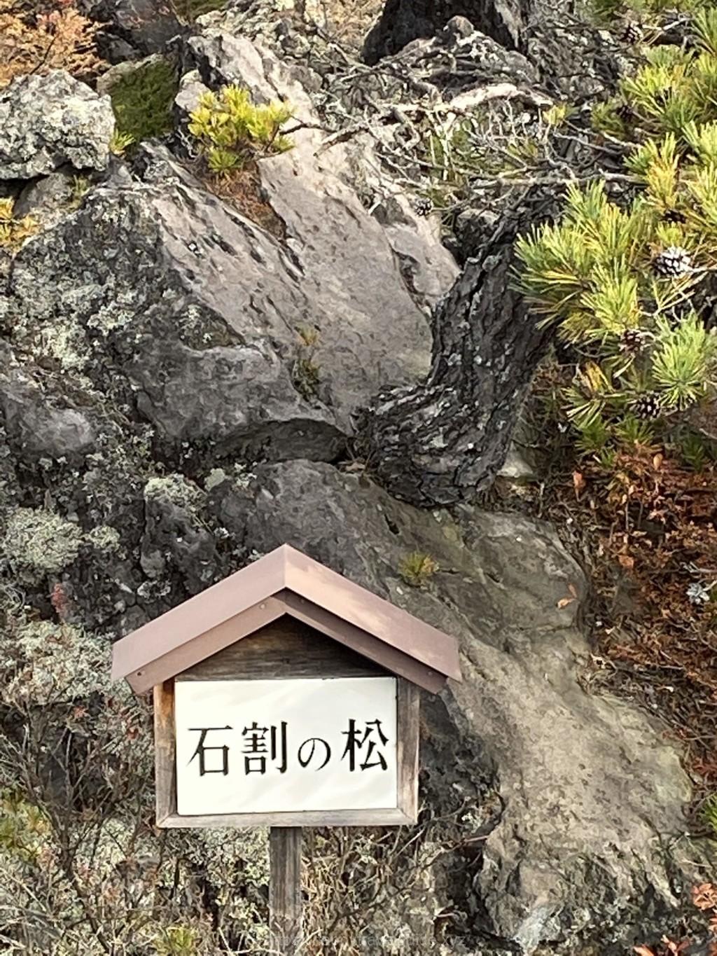 鬼押し出し園 植物