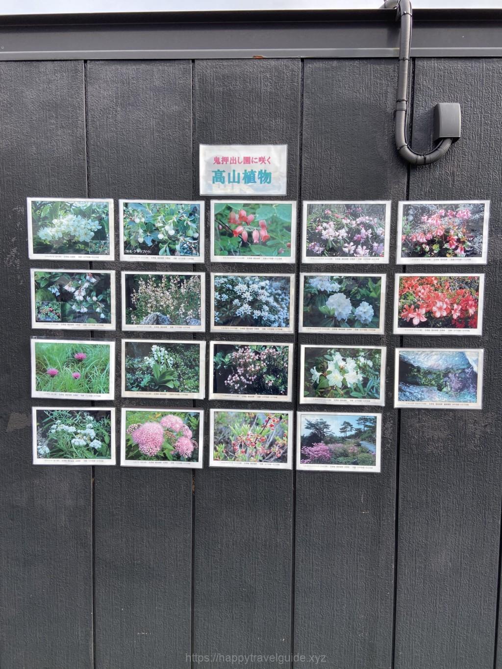 鬼押し出し園 四季