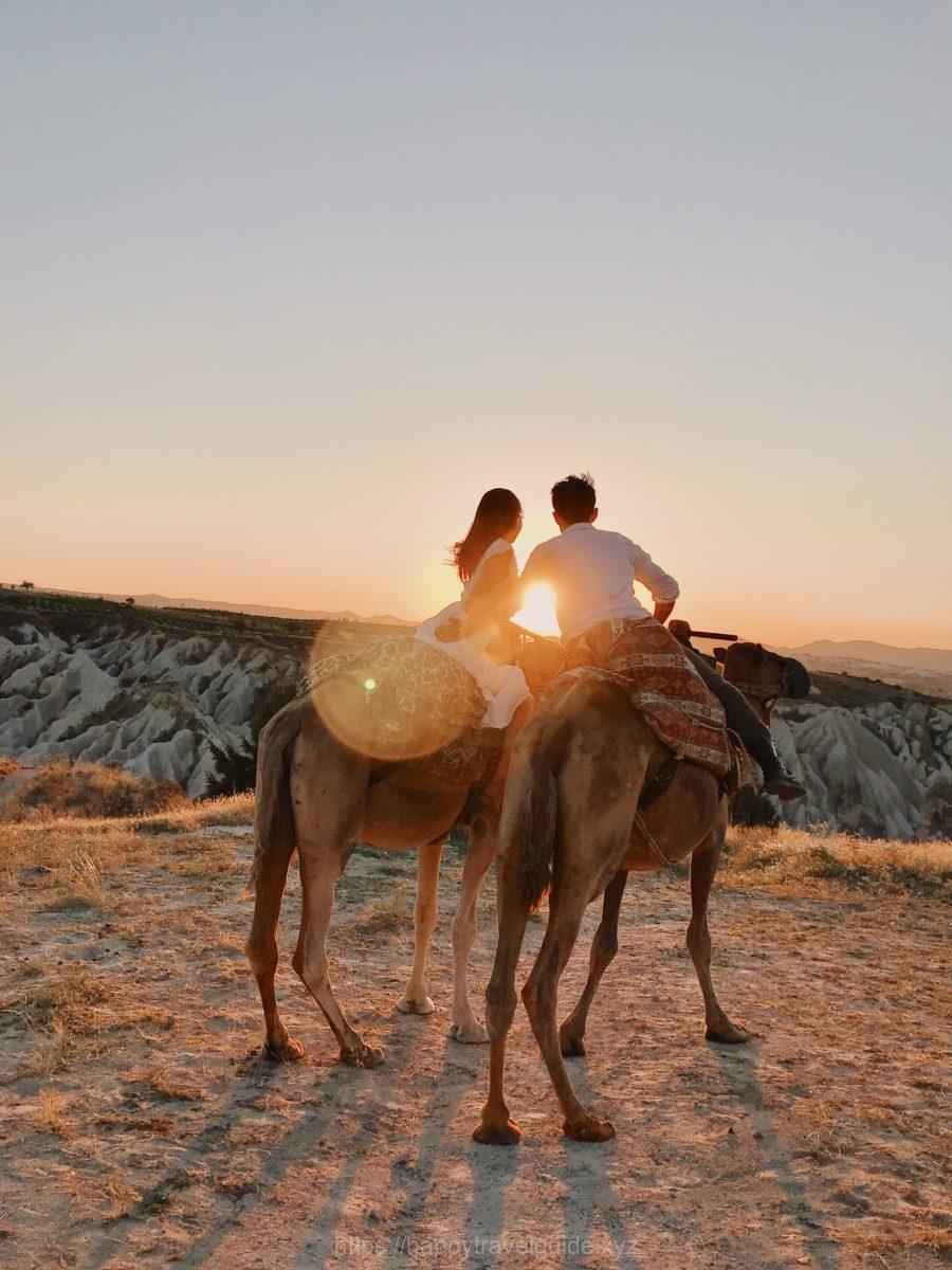 ラクダライディング