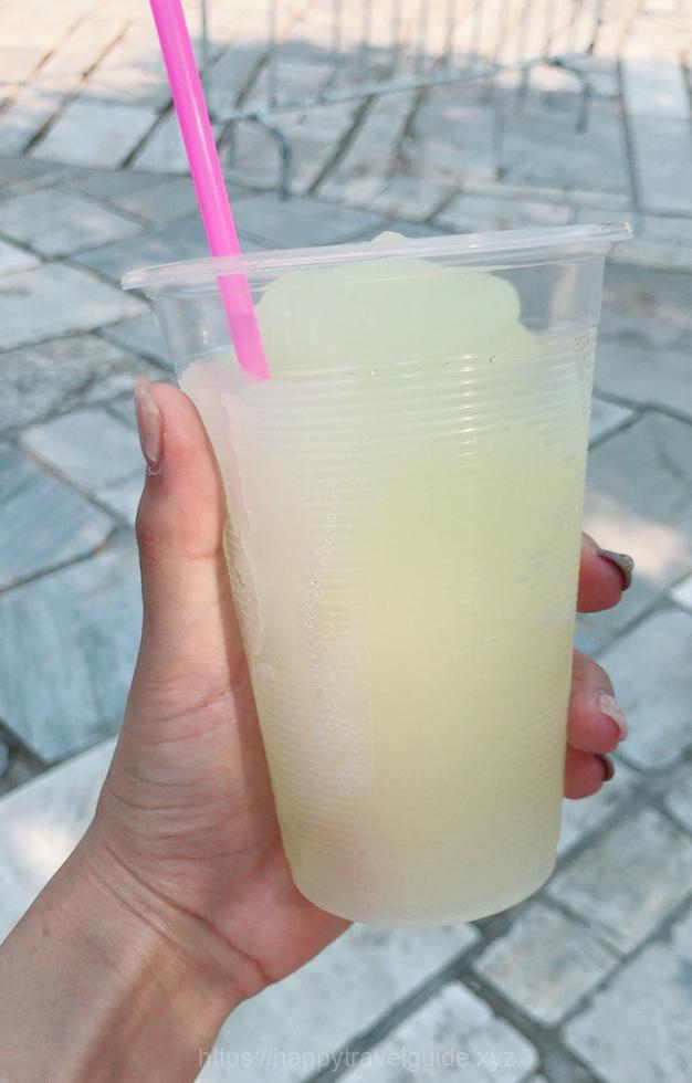 エレクティオン神殿でドリンクを飲む