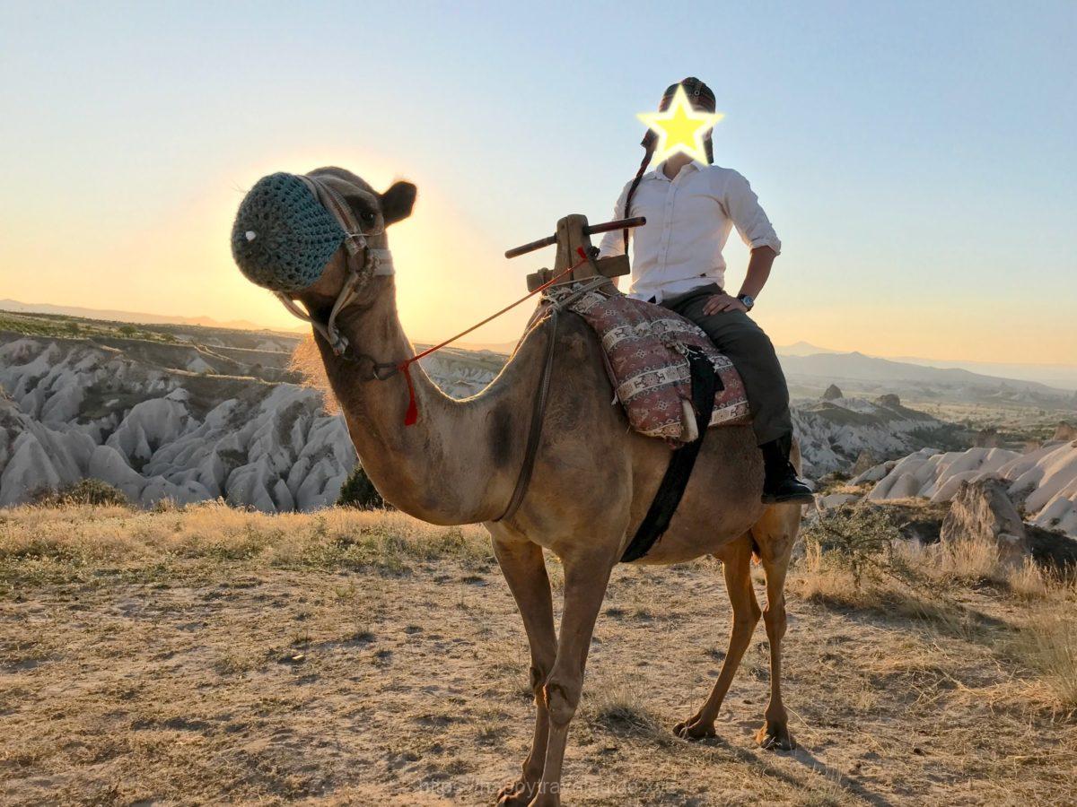 ラクダライディング