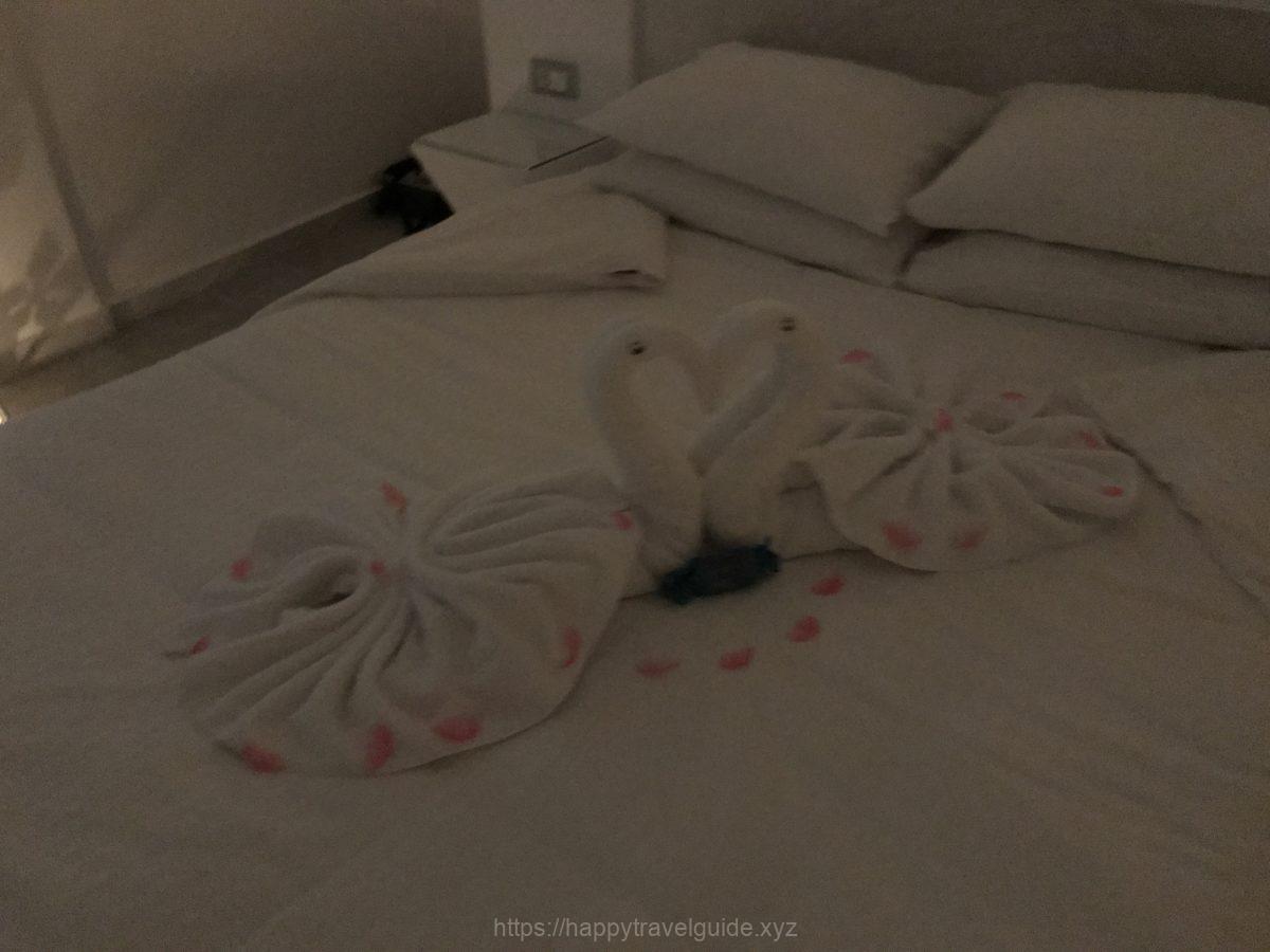 白鳥のサプライズ