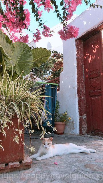 フォトスポット