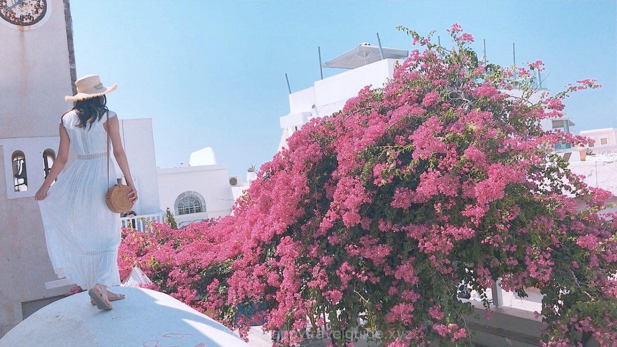 イアでの撮影スポット