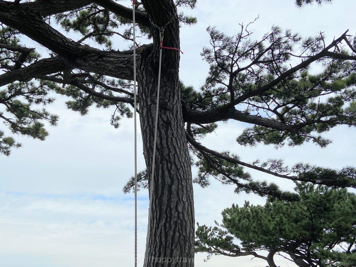 ハイジのブランコ