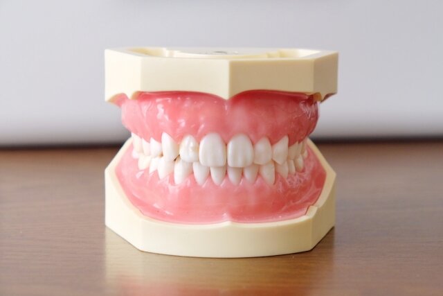 歯と口の週間